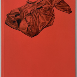 Captura de pantalla 2025 07 31 a las 19.11.15