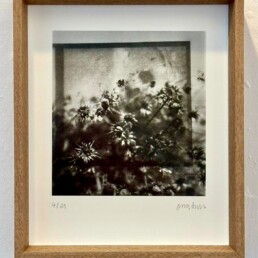 Fotolitografia e1753980216325